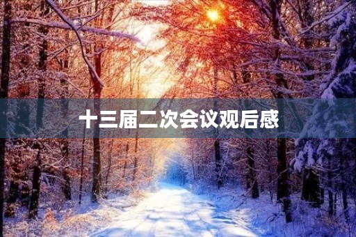 十三届二次会议观后感(纪委十三届二次会议学习心得) 十三届二次会议观后感(纪委十三届二次会议学习心得)