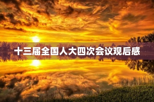 十三届全国人大四次会议观后感