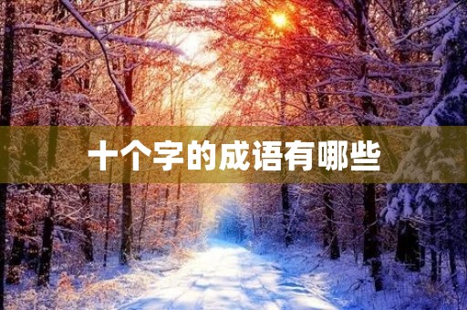 十个字的成语有哪些 十个字的成语有哪些