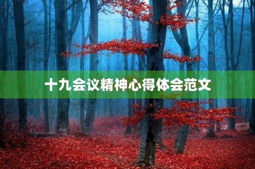 十九会议精神心得体会范文