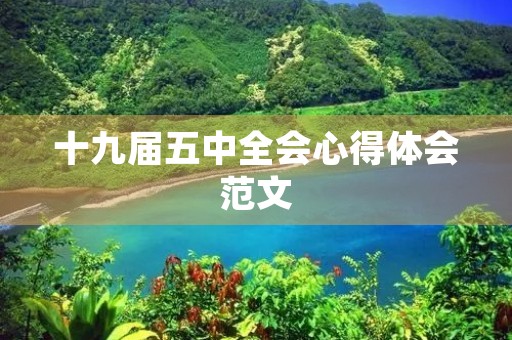 十九届五中全会心得体会范文