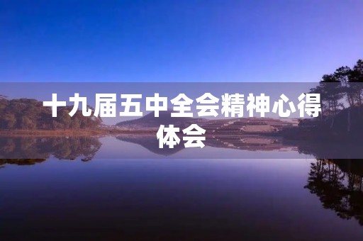 十九届五中全会精神心得体会