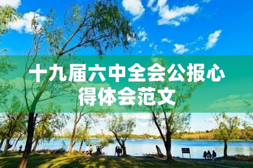 十九届六中全会公报心得体会范文