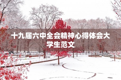 十九届六中全会精神心得体会大学生范文