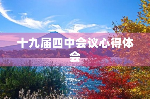 十九届四中会议心得体会