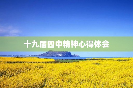 十九届四中精神心得体会 十九届四中精神心得体会