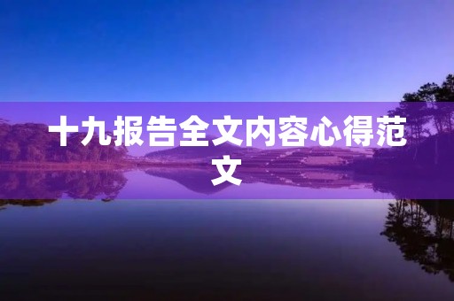 十九报告全文内容心得范文