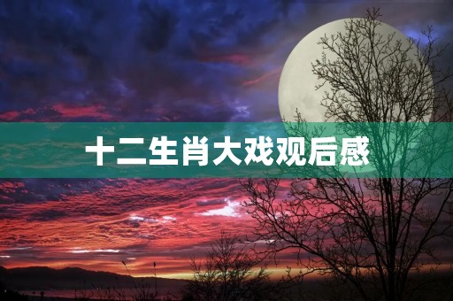 十二生肖大戏观后感 十二生肖大戏观后感
