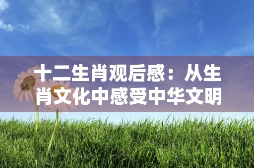 十二生肖观后感：从生肖文化中感受中华文明的博大精深