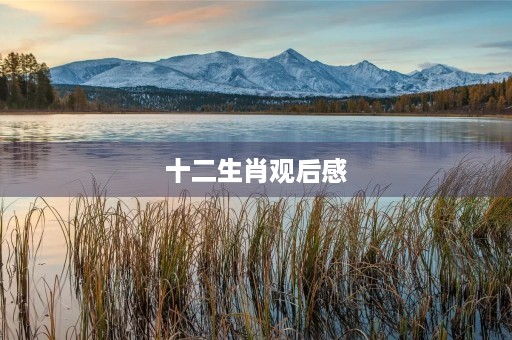 十二生肖观后感 十二生肖观后感