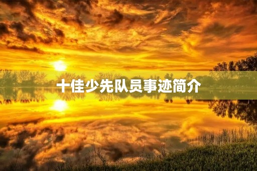 十佳少先队员事迹简介