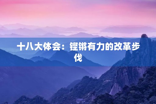 十八大体会：铿锵有力的改革步伐