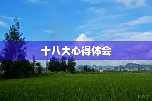 十八大心得体会