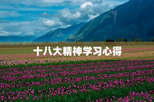 十八大精神学习心得