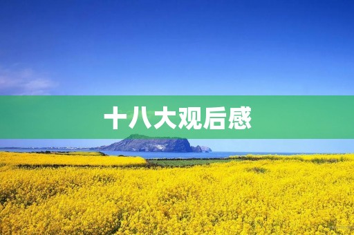 十八大观后感
