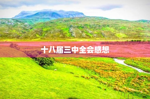 十八届三中全会感想 十八届三中全会感想