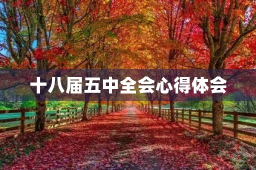 十八届五中全会心得体会 十八届五中全会心得体会