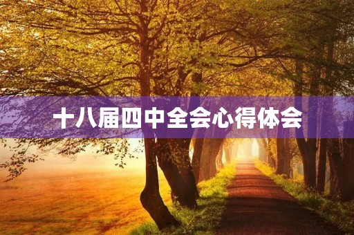 十八届四中全会心得体会