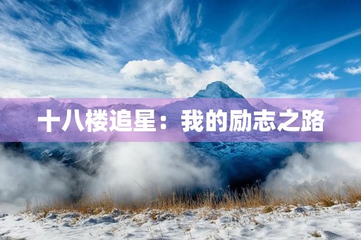 十八楼追星：我的励志之路
