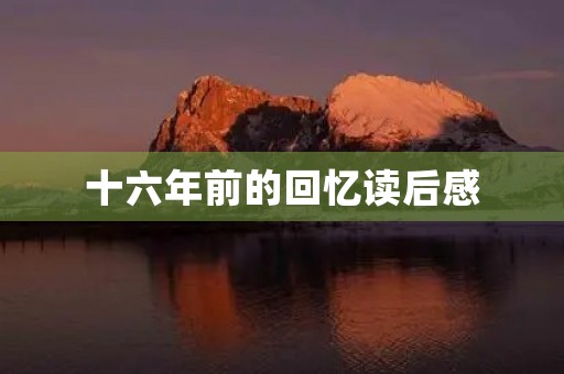 十六年前的回忆读后感