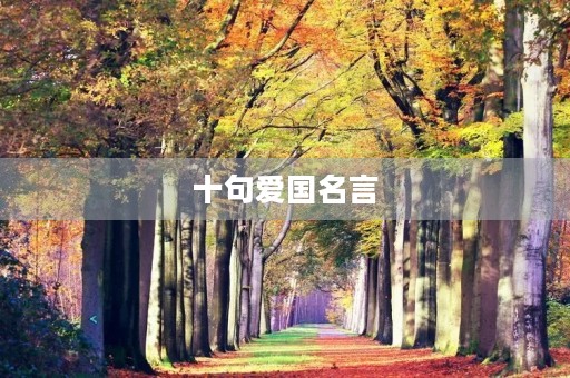 十句爱国名言(十句爱国名言诗句)