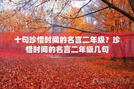 十句珍惜时间的名言二年级？珍惜时间的名言二年级几句