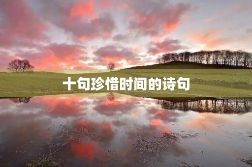 十句珍惜时间的诗句(十句珍惜时间的诗句名言) 十句珍惜时间的诗句(十句珍惜时间的诗句名言)