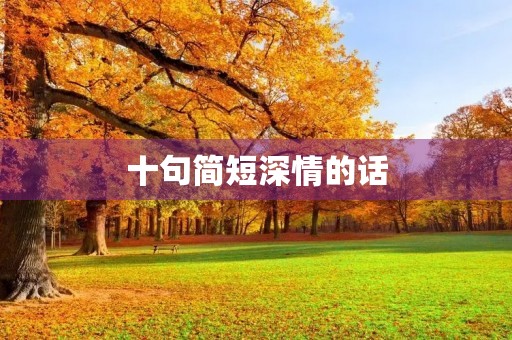 十句简短深情的话(高情商的暖心句子)