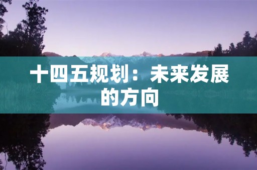 十四五规划：未来发展的方向