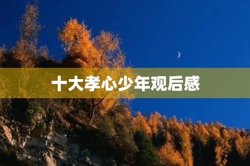 十大孝心少年观后感 十大孝心少年观后感