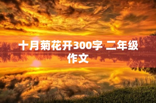 十月菊花开300字 二年级作文