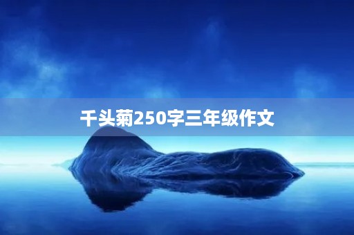 千头菊250字三年级作文