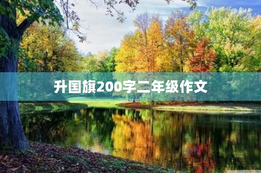 升国旗200字二年级作文