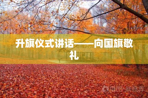 升旗仪式讲话——向国旗敬礼 升旗仪式讲话——向国旗敬礼