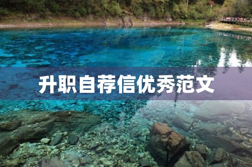 升职自荐信优秀范文
