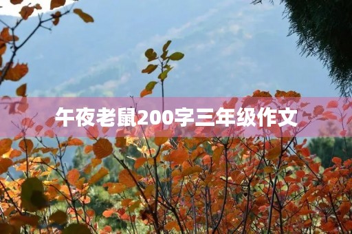 午夜老鼠200字三年级作文 午夜老鼠200字三年级作文