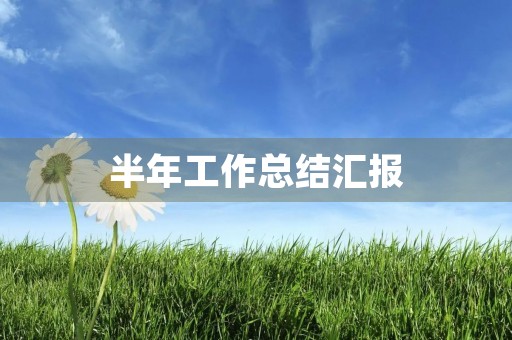 半年工作总结汇报