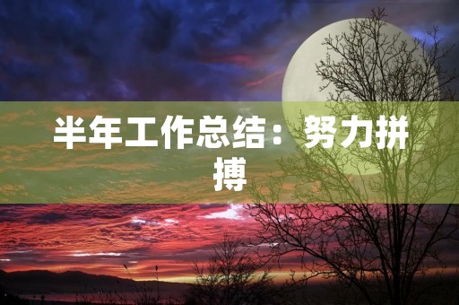 半年工作总结:努力拼搏,砥砺前行