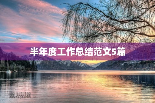 半年度工作总结范文5篇