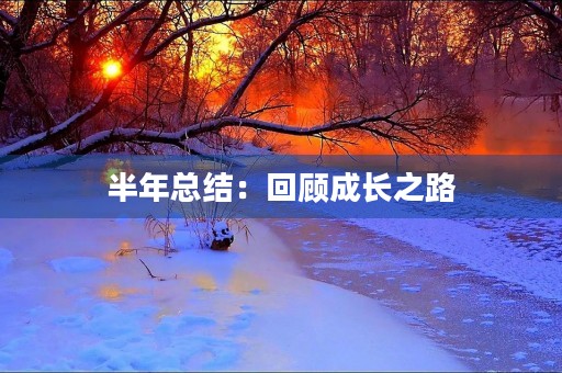 半年总结：回顾成长之路