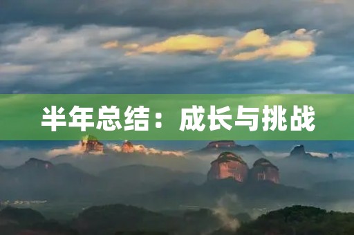 半年总结:成长与挑战
