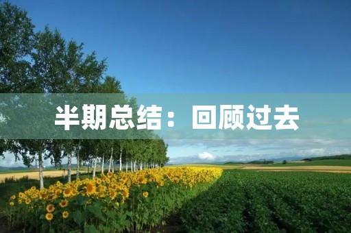 半期总结:回顾过去,展望未来 半期总结:回顾过去,展望未来