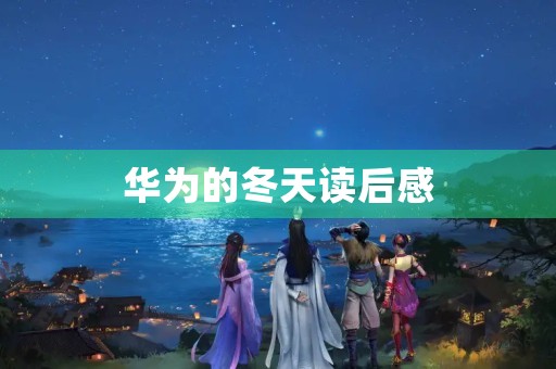 华为的冬天读后感 华为的冬天读后感