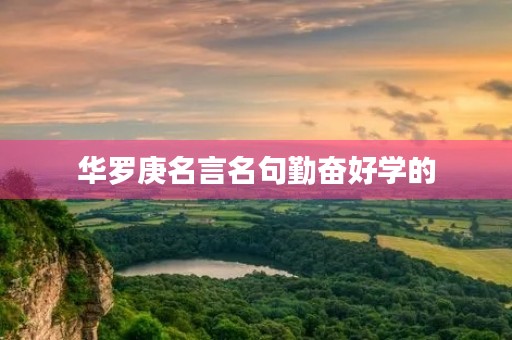 华罗庚名言名句勤奋好学的(华罗庚名言名句大全勤奋好学的) 华罗庚名言名句勤奋好学的(华罗庚名言名句大全勤奋好学的)