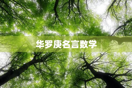 华罗庚名言数学,华罗庚名人名言数学 华罗庚名言数学,华罗庚名人名言数学
