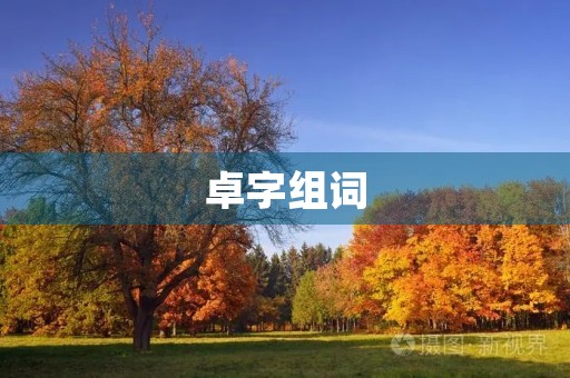 卓字组词(卓组词)
