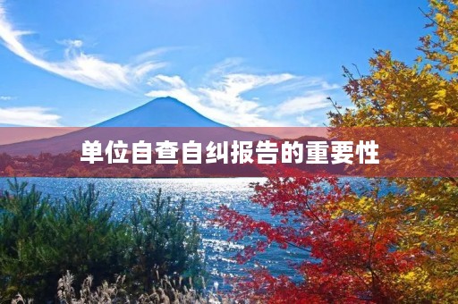 单位自查自纠报告的重要性 单位自查自纠报告的重要性