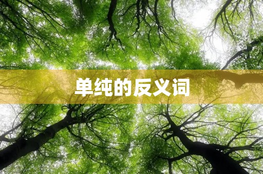 单纯的反义词(单纯的反义词) 单纯的反义词(单纯的反义词)
