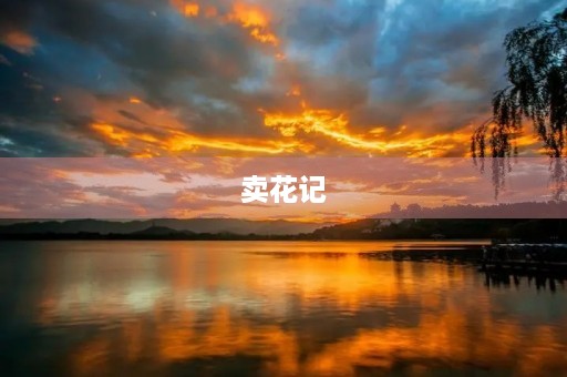 卖花记 卖花记