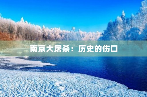 南京大屠杀:***** 南京大屠杀:*****